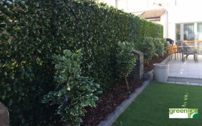 Greenfx Trellis hedge screening, easy to install. Gallery Image