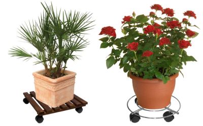 Plant Pot Trollies by Wagner.
Move heavy indoor or outdoor plants with ease. Gallery Image